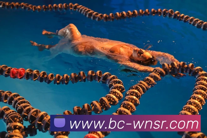 多媒体互动体验